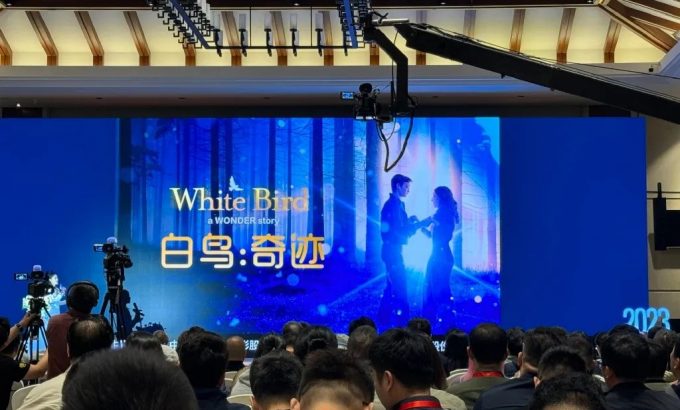 白鸟：奇迹